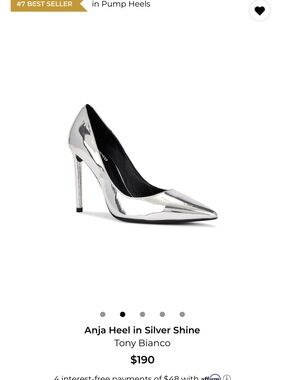 Tony Bianco Silver Pointed Toe Stiletto Pump